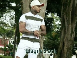 WayneBlack