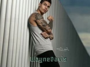 WayneDavis
