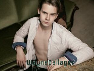 WayneGallager