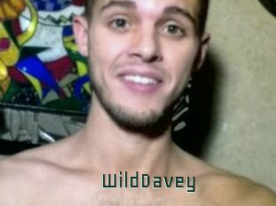 WildDavey