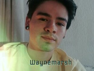 Waynemarsh