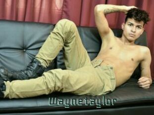 Waynetaylor