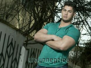 Waynneprice