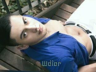 Wdior