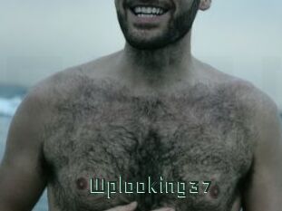 Wplooking37