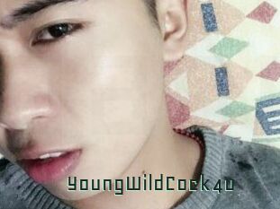 YoungWildCock4u