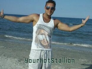 YourHotStallion