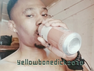 Yellowbonedick2010