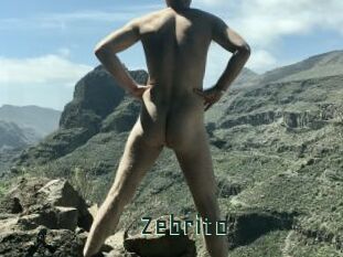 Zebrito