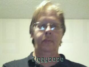 Ziggy2020