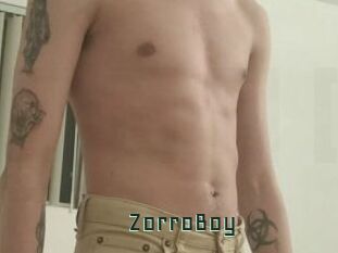 ZorroBoy Gay Porn